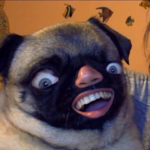 zitstagram Profile Picture