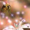 каждая женщина уверена, что дважды два может быть пять, если как следует поплакать или устроить истерику.
