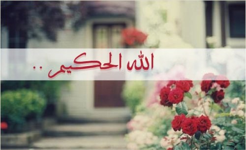 مدربة روبوت- محكمه -عضو الجمعيه السعوديه للعلوم الرياضيه(جسر)-عضو الجمعيه العربيه للروبوت. snap:wsmeah-almutere wsmeah-almutere@hotmail.com