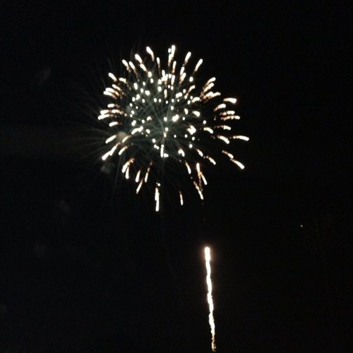 iutzwig's profile picture. 