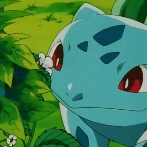 Bulba Here! Im that kind of Bulba #RP #Taken #Trainer @SoulofJohto BF: @squirtlecaptain @iPikachus (Not with Nintendo)
