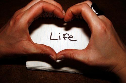 life is love always.