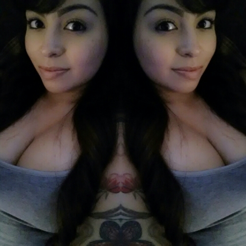 Sillymonkeeey's profile picture. 