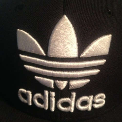 KoalaKicker13's profile picture. Second place is just first loser.