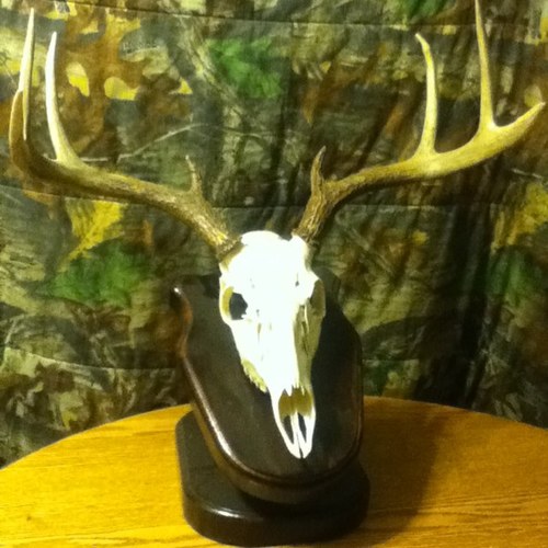 Camouflage, Hunting, Fishing, Coors Light, Mudding, Country Music, Picking Guitar #Teamchevy