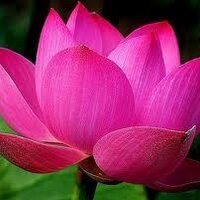 susanto (@abhimitto) 's Twitter Profile