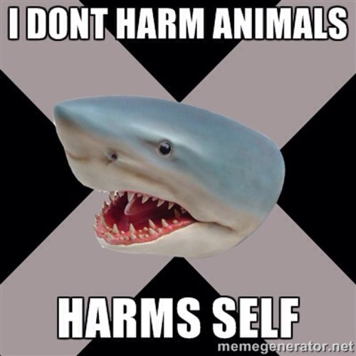 Not proED or for selfharm. I struggle with both myself! Just posting funny stuff for the peeps who get it. Stay strong lovelies!
