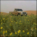 الغرة المنصوري (@0555063) Twitter