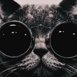 Amante del cine,Biker,Mago,un poco loco,un intento de poeta,muy soñador, si se trata de diseñar,hagamoslo...de tu mente,de tu cuerpo,de tu alma...