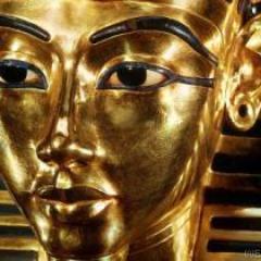 ylaCorcora's profile picture. Model car deal