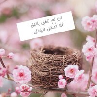 فَ ذَگـَّرْ (@poq_23) Twitter profile photo