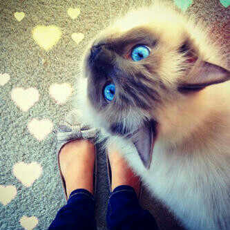 Rbi akktbli elra7a b3r'9 sma2k ♥