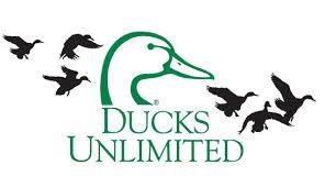 Official Ducks Unlimited Nashville Chapter Twitter Feed-
 The Leader in Wetlands Conservation

 Nashville, Tennessee · http://t.co/oF6UCV7sqK