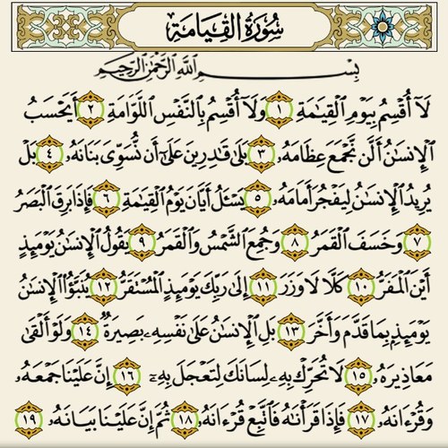 يسرني متابعتكم وأرجو أن أوفق في نقل كل مفيد وأفتخر وأعتز بكل من يتابعني وأتابعه أنتم مرآتي فسددوني