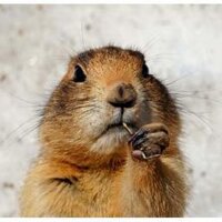 HappyDaze (@margalle1) 's Twitter Profile Photo