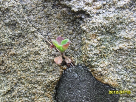 rnfldlsfur's profile picture. 