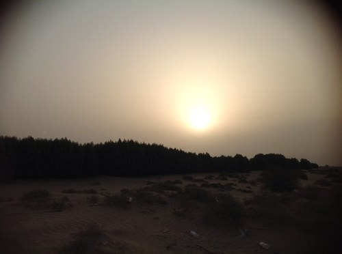 اللهم اجعلني لكل ذاكرا _______________ اللهم اني استودعتك . . .