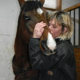 Founded in 2000, Spring Hill has rescued, rehabilitated and re-homed over 700 horses in just 15 years. We provide large animal cruelty investigators statewide.