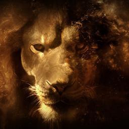I play cod and have been asked to join mutiple Sponsored clans. I love PC gaming and I edit for K7 Gaming on Xbox. Hit me up if you need an edit. I Luv Games :)