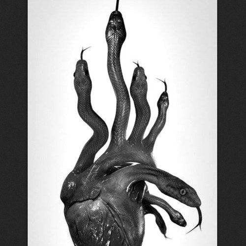 Banquets of forbidden fruit.