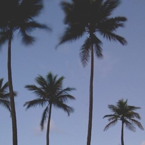 fionajnation's profile picture. 