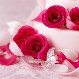 @vmani8569