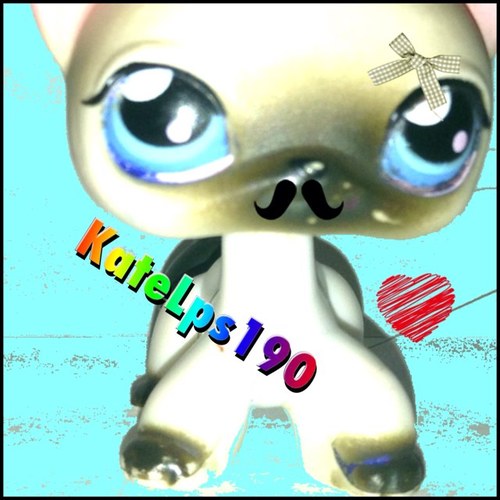 Hello my name is Kate Im 14 year old