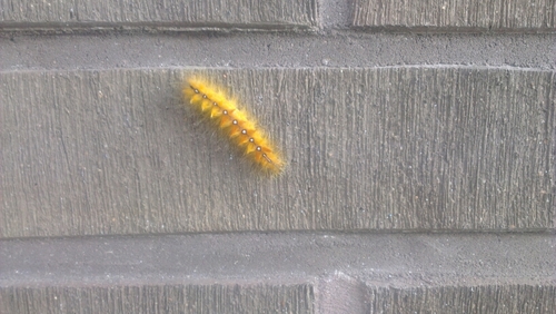 secure_work's profile picture. we love security.