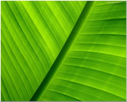 EN13432 Compostable products. From Council approved kitchen caddy bags for food waste to Plant Pots made from wheat husks.
https://t.co/A2dp8X3lez