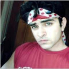 SEO | SMO | Webmaster(anilkumarpal0007@gmail.com)-Real Estate Adviser in india