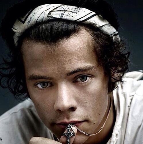 All i want in life is a harry follow