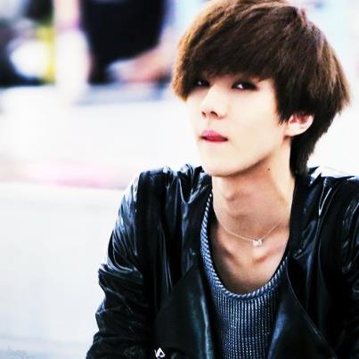 {parody sehun} Mama, wolf, growl ° let's be friend ° krystal ♥