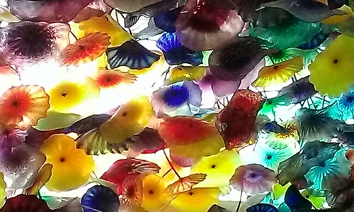 sweetytweets_'s profile picture. 