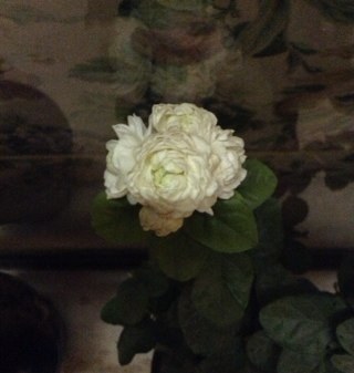 emmalik70's profile picture. Assistant Professor at IAU College of Nursing