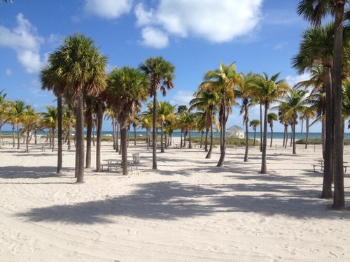 Life in the most beatiful island of the world: Key Biscayne, nice pictures and facts (We also provide financial services to companies)