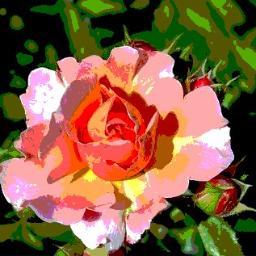 RenaSzostok's profile picture. Hallo! Ich bin DaF-Lehrerin . Meine Arbeit macht mir Spaß | Google+ http://t.co/Rtv8haVIoI | Facebook http://t.co/lZEnBvnfYo | @PSPSprachpunkt |