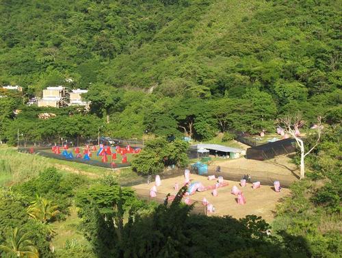 PAINTBALLPCP's profile picture. Somos el complejo de paintball mas grande de Venezuela contamos  con 4 canchas de pintura,tienda,fuente de soda,área VIP !cancha de futbolito wi-fi y churuatas