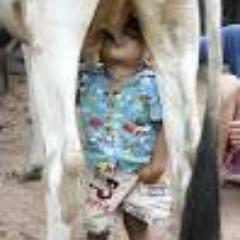 تعيش راسى حرة