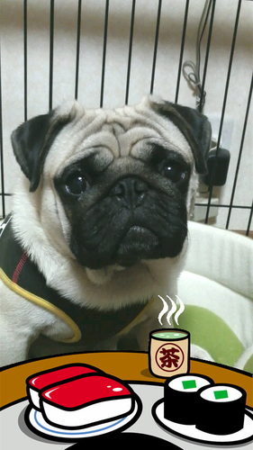 taichi1166's profile picture. 仕事大好き