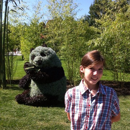 joseefili's profile picture. 