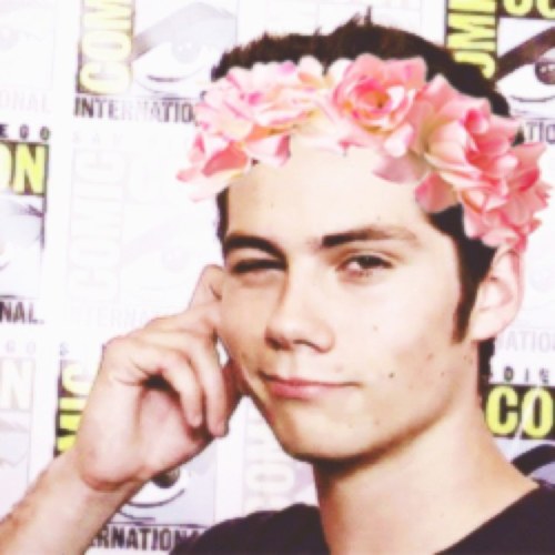 just a forever fan of @dylanobrien #wolfie ❤#24 Stilinski❤ melissa follows! ⚡#StayStrong i think your worth it⚡