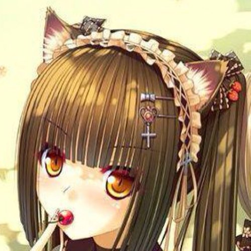 紅威猫さんのプロフィール画像
