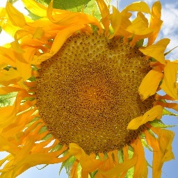 AndriaCometa's profile picture. A dedicated professional with 20+ years of experience as a social worker, psychotherapist, life coach and Positive Psychology practitioner