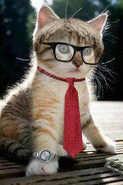 B.A.English literature.like soft music,pets,walking and travelling to discover the world