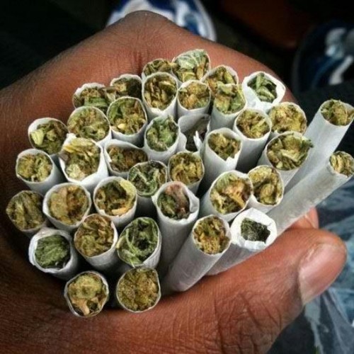 PeterGr79534165's profile picture. 