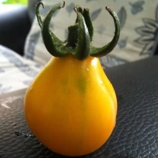 bto10's profile picture. Software Engineer,