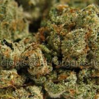 This is all about how loud weed can get and with a lil comedy (Example: Weed louder than a carcrash) FOLLOW @keef_is