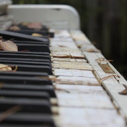 valencialondono's profile picture. 