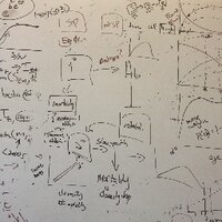 The Ferrari Lab: @TheFerrariLab.bsky.social (@theferrarilab) 's Twitter Profile