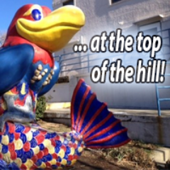 Jayhawk Bookstore has everything KU, textbooks, clothing & gear for KU fans. We are Your Kansas Family Owned Bookstore at the Top of the Hill
1420 Crescent Rd